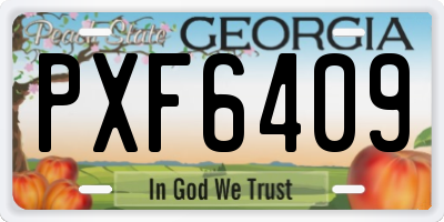 GA license plate PXF6409