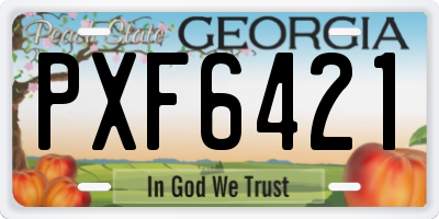 GA license plate PXF6421