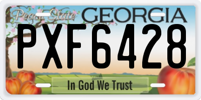 GA license plate PXF6428