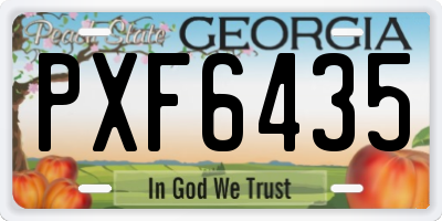 GA license plate PXF6435
