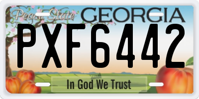 GA license plate PXF6442