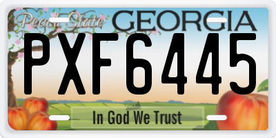 GA license plate PXF6445