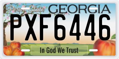 GA license plate PXF6446