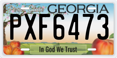 GA license plate PXF6473