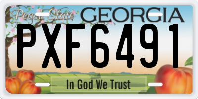 GA license plate PXF6491
