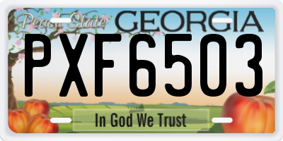 GA license plate PXF6503