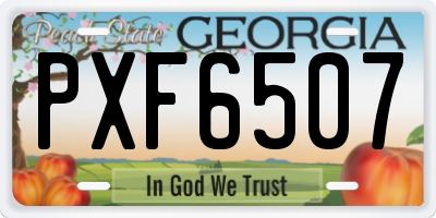 GA license plate PXF6507
