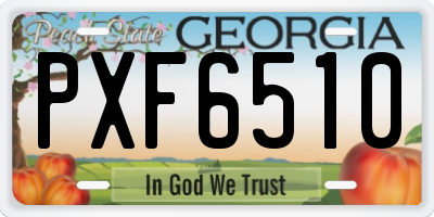 GA license plate PXF6510