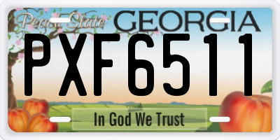 GA license plate PXF6511