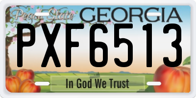 GA license plate PXF6513
