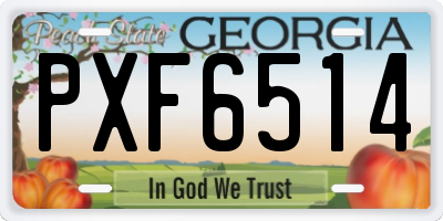 GA license plate PXF6514