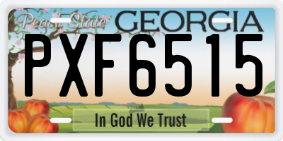 GA license plate PXF6515