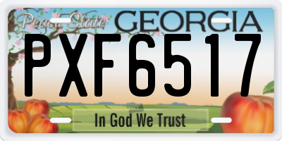 GA license plate PXF6517