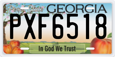 GA license plate PXF6518