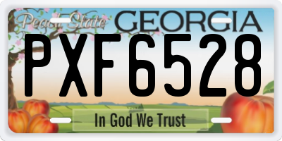 GA license plate PXF6528