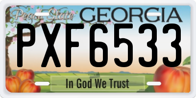 GA license plate PXF6533