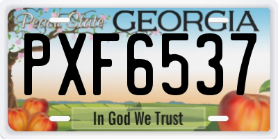 GA license plate PXF6537