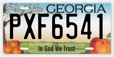 GA license plate PXF6541