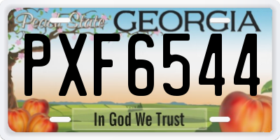 GA license plate PXF6544