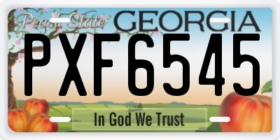 GA license plate PXF6545