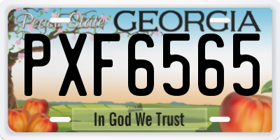GA license plate PXF6565