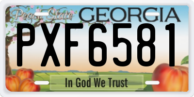 GA license plate PXF6581