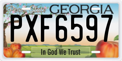 GA license plate PXF6597