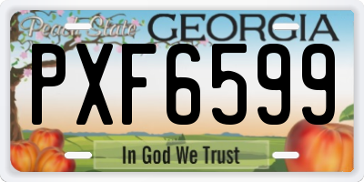 GA license plate PXF6599