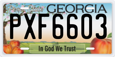 GA license plate PXF6603