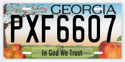 GA license plate PXF6607