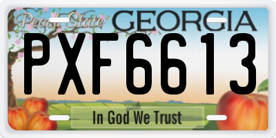 GA license plate PXF6613