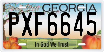 GA license plate PXF6645