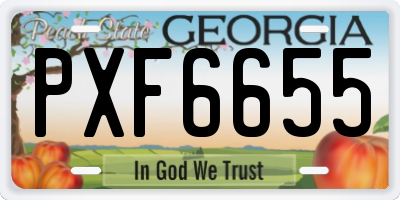 GA license plate PXF6655