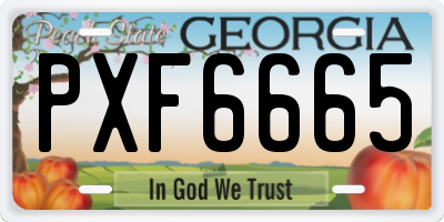 GA license plate PXF6665