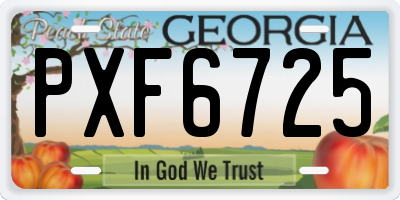 GA license plate PXF6725