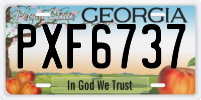 GA license plate PXF6737