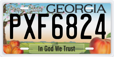 GA license plate PXF6824