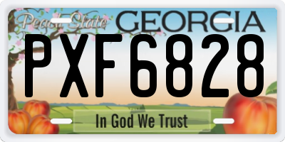 GA license plate PXF6828
