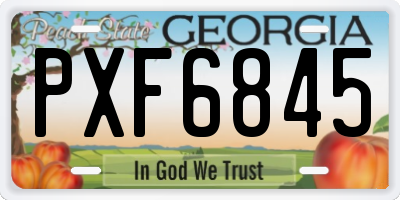GA license plate PXF6845