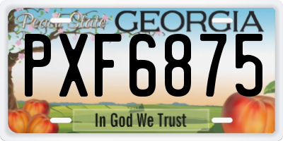 GA license plate PXF6875