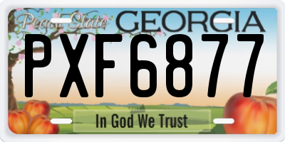 GA license plate PXF6877