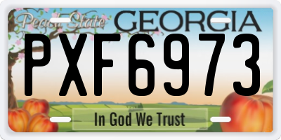 GA license plate PXF6973