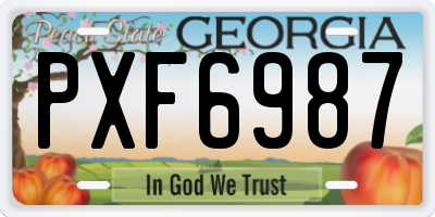 GA license plate PXF6987