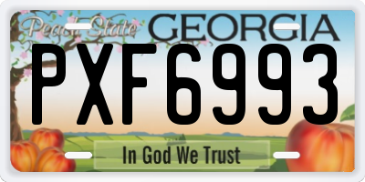 GA license plate PXF6993