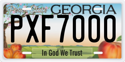 GA license plate PXF7000