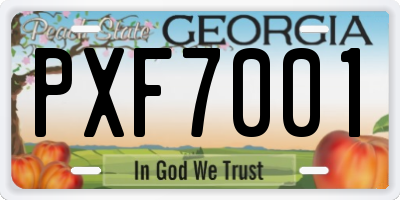 GA license plate PXF7001