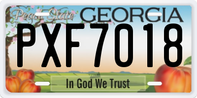 GA license plate PXF7018