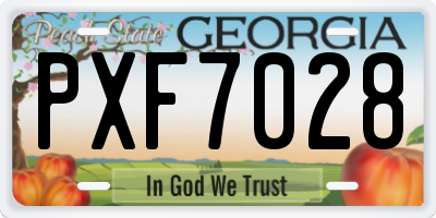 GA license plate PXF7028