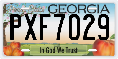 GA license plate PXF7029