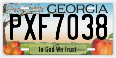 GA license plate PXF7038
